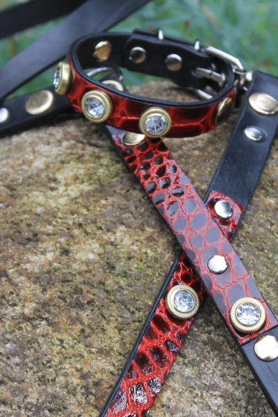 Комплект из кожи KF collars 031-c